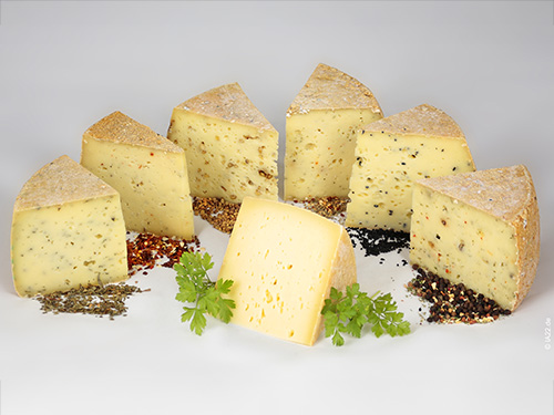 Hörnerböck-Bio-Käse Kuh Biohof-Stähr